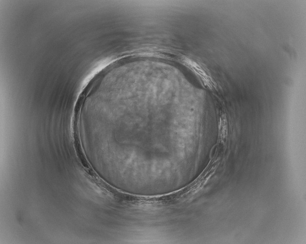 X0000115210292200911181534