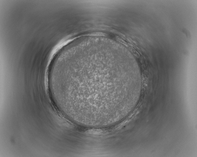 X0000115210294200911181534