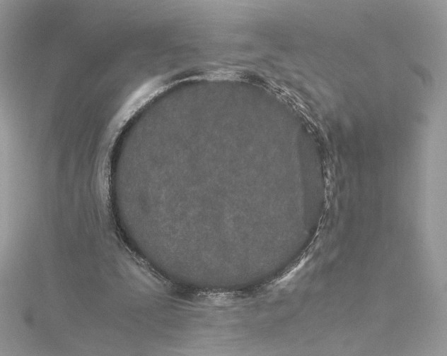 X0000115210295200911181534