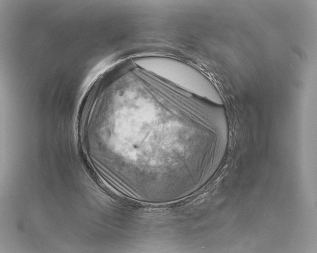 X0000115210296200911181534