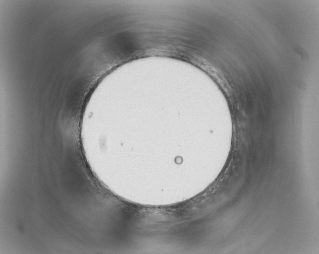 X0000115210297200911181534