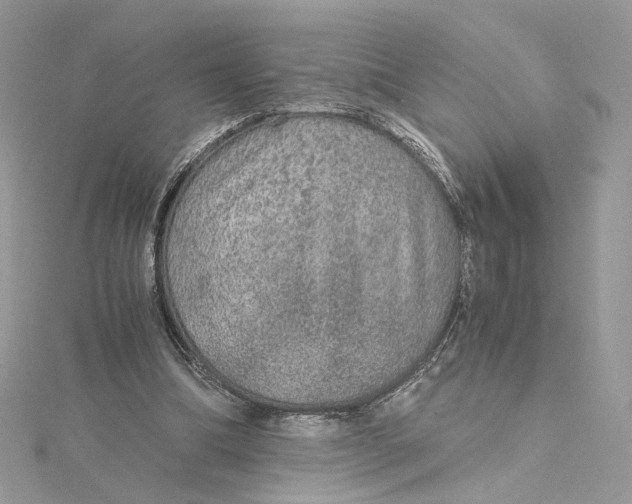 X0000115210298200911181534