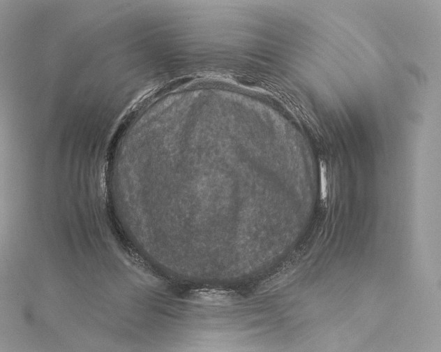 X0000115210300200911181534