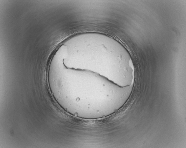 X0000115210301200911181534