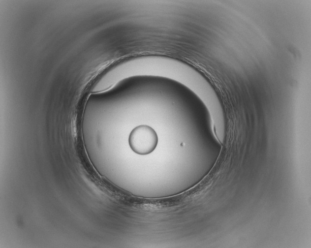 X0000115210302200911181534