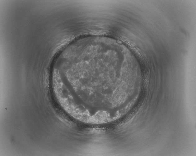 X0000115210303200911181534