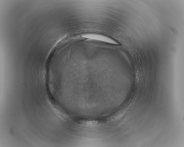 X0000115210304200911181534