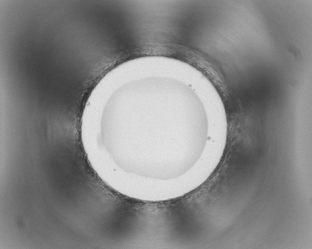 X0000115210305200911181534