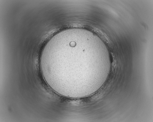 X0000115210306200911181534