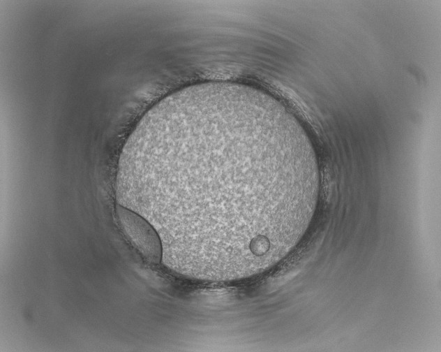 X0000115210307200911181533