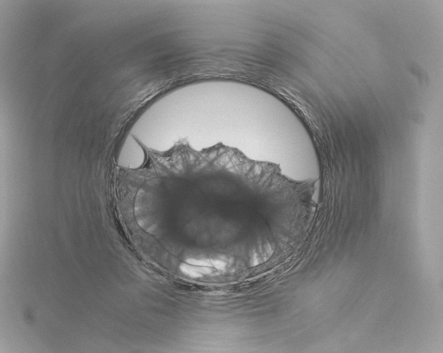 X0000115210309200911181533