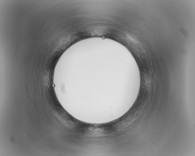 X0000115210311200911181533