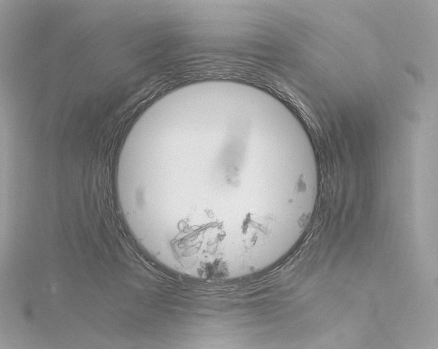 X0000115210313200911181533