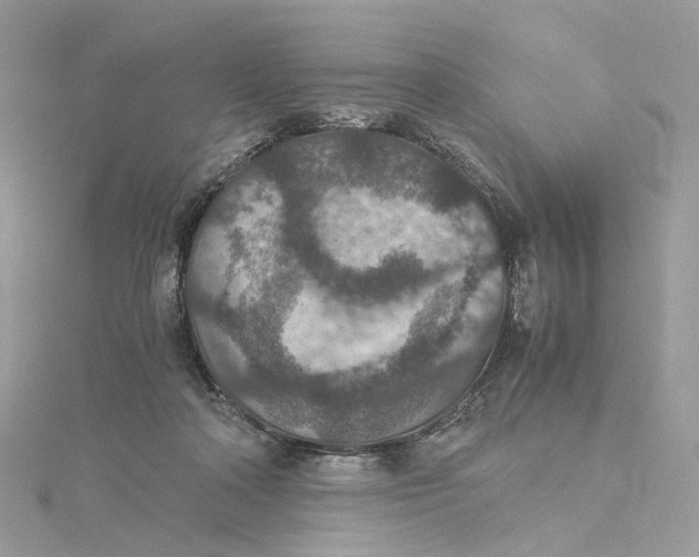 X0000115210314200911181533