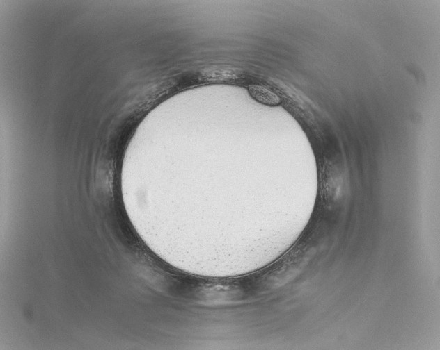 X0000115210315200911181533