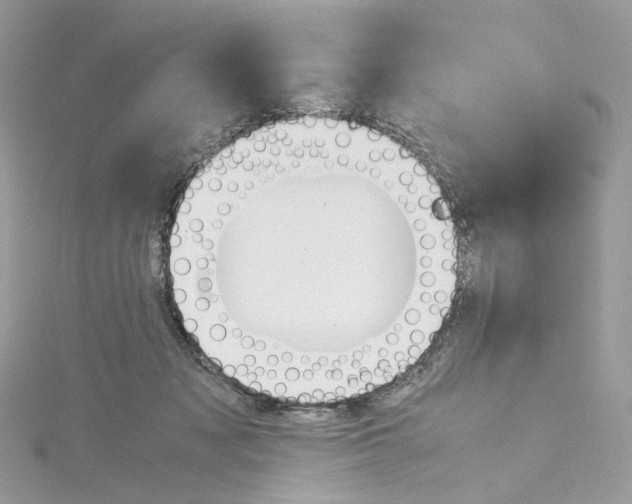 X0000115210317200911181533