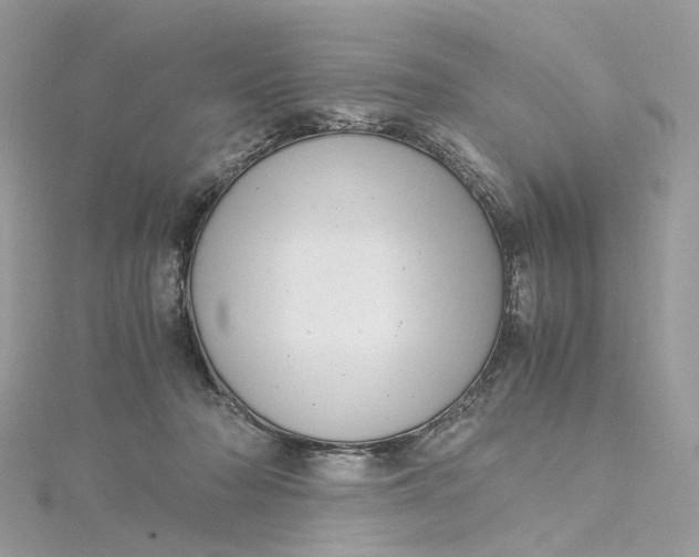 X0000115210318200911181533