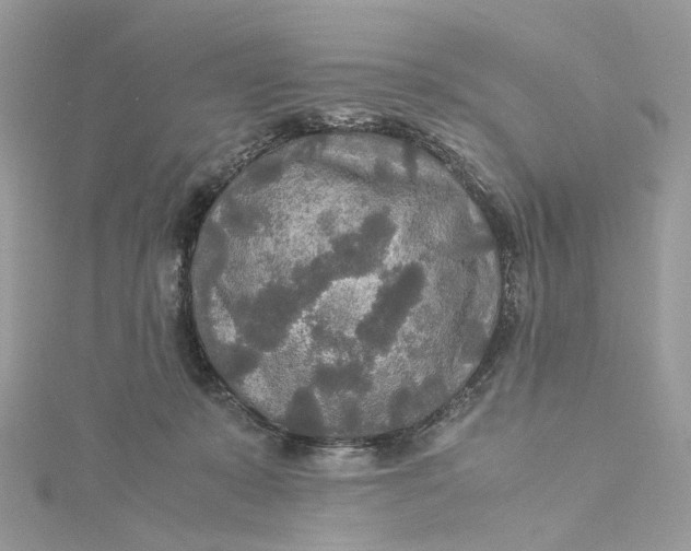 X0000115210319200911181533