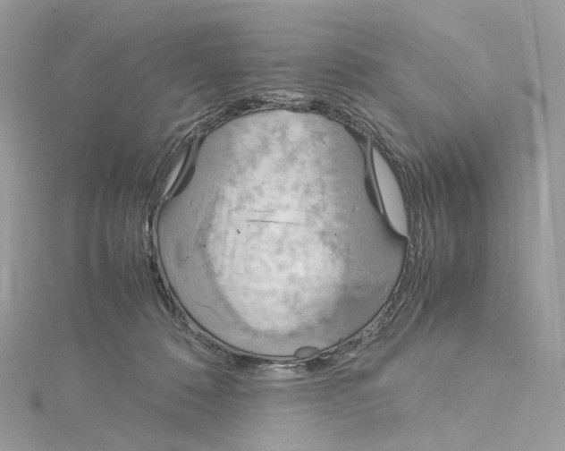 X0000115210320200911181533