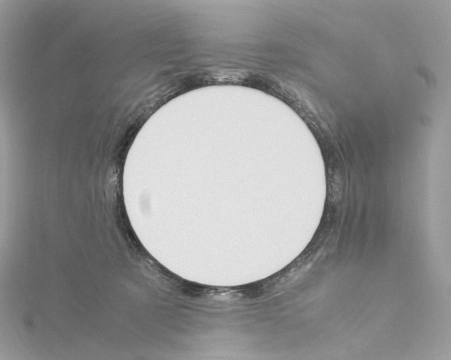 X0000115210321200911181533