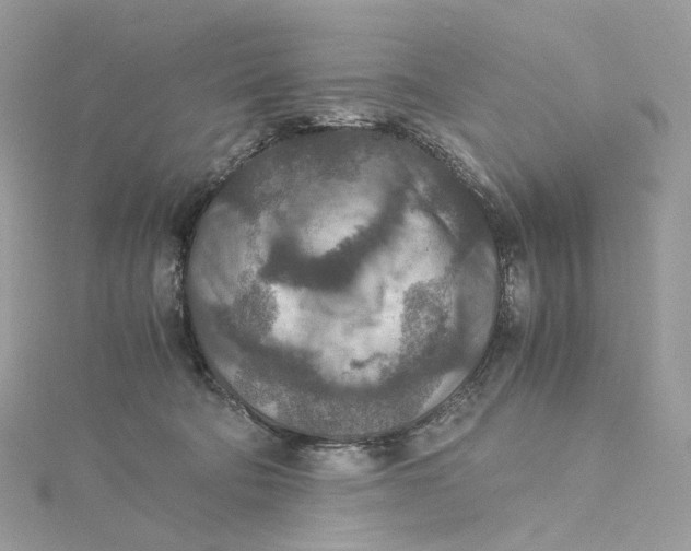 X0000115210322200911181533