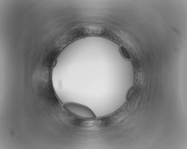 X0000115210323200911181533