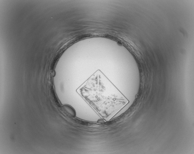 X0000115210325200911181533