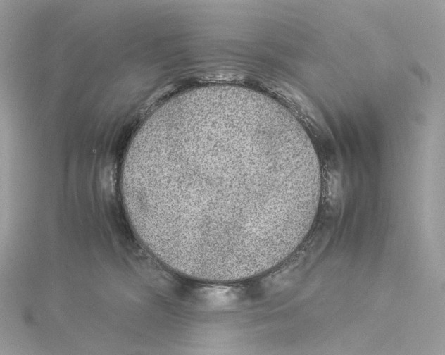 X0000115210326200911181533