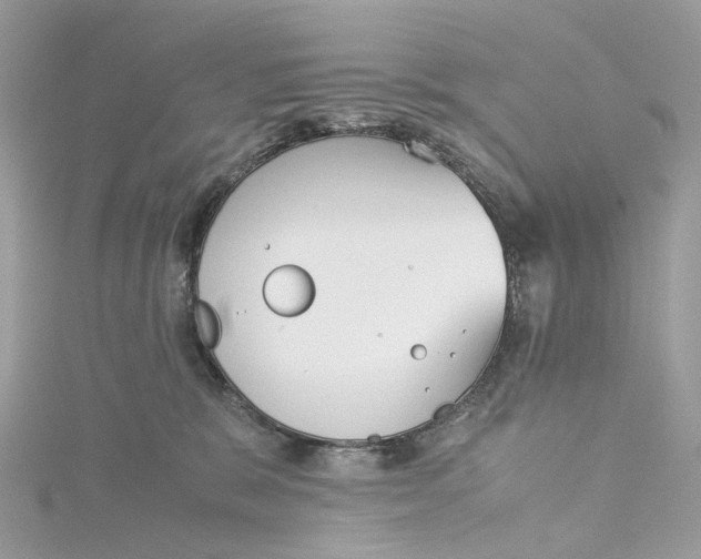 X0000115210327200911181533