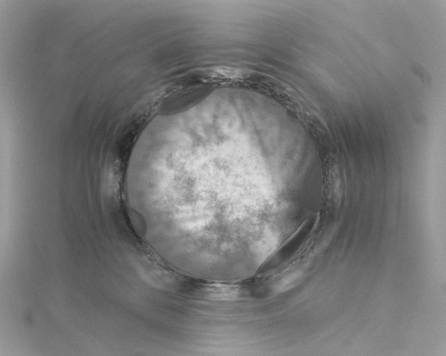 X0000115210328200911181533