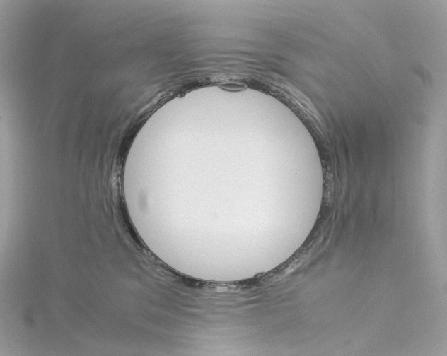 X0000115210329200911181533