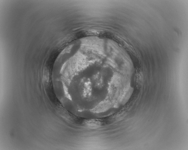 X0000115210331200911181533