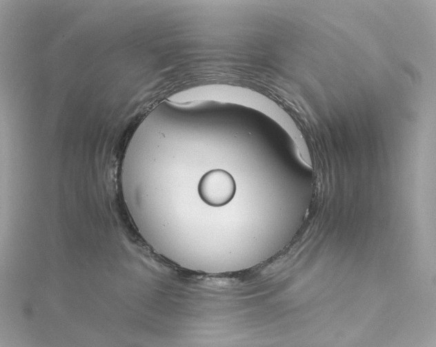 X0000115210332200911181533