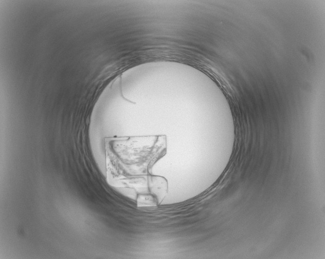 X0000115210333200911181533