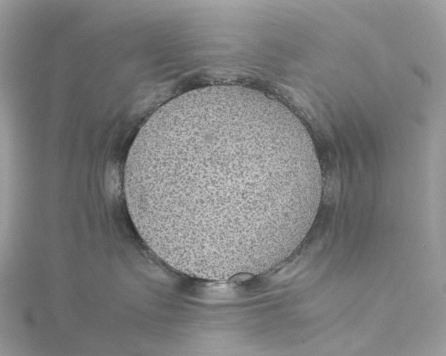 X0000115210335200911181533