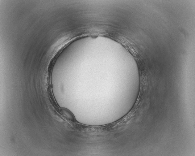 X0000115210338200911181533