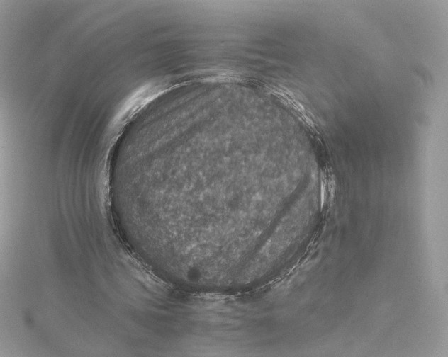 X0000115210339200911181533