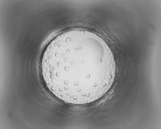 X0000115210341200911181533