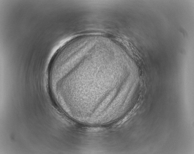 X0000115210342200911181533