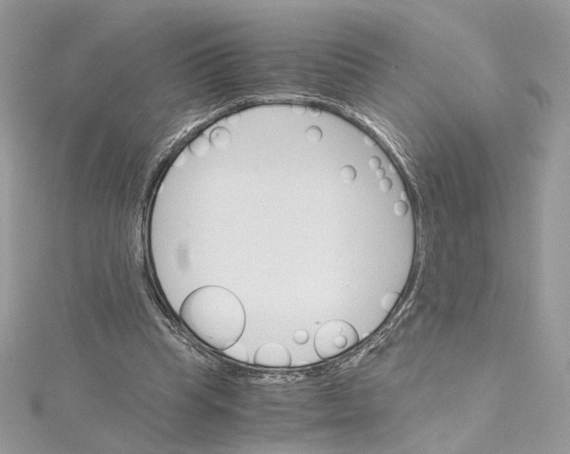 X0000115210345200911181533