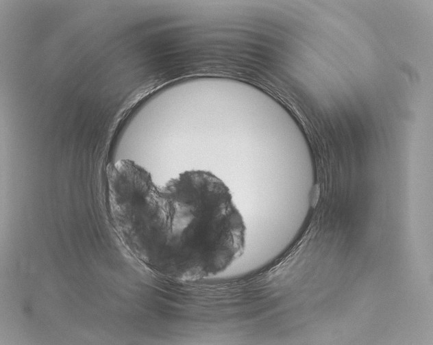 X0000115210349200911181533