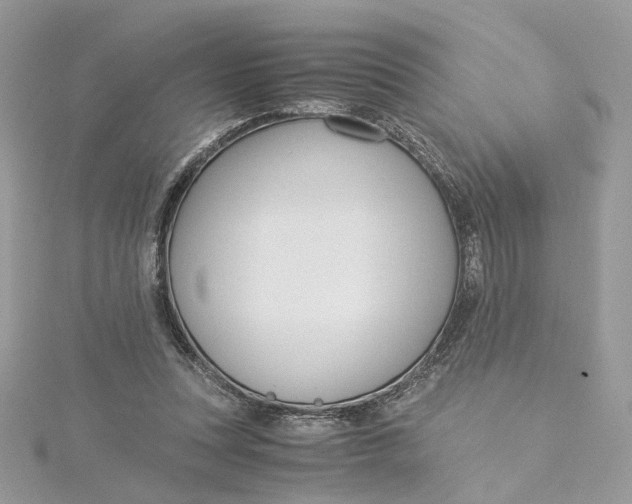 X0000115210351200911181533
