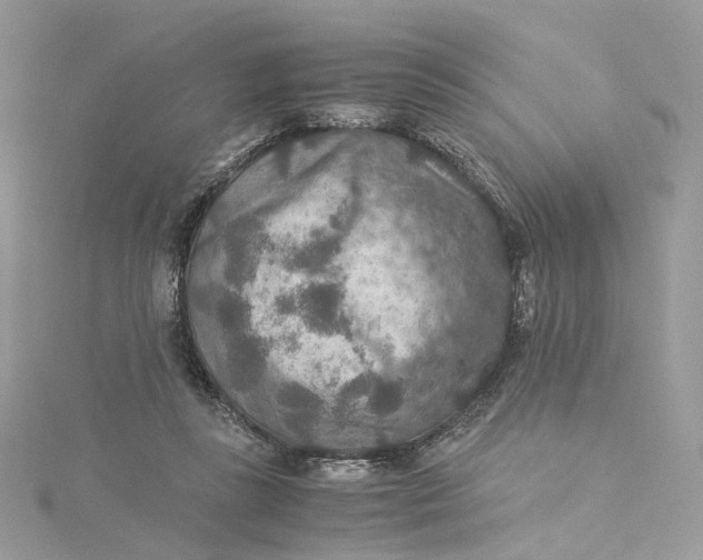 X0000115210355200911181533