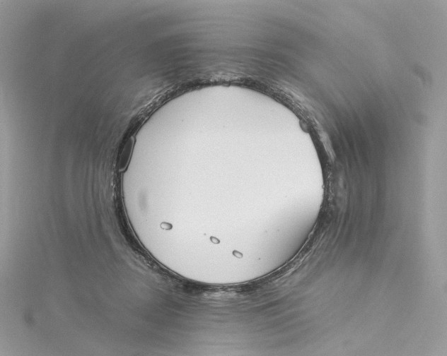 X0000115210362200911181533