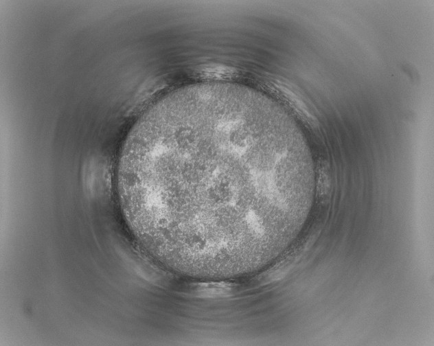 X0000115210363200911181533