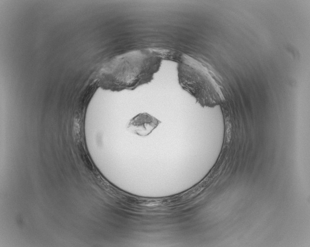 X0000115210365200911181533