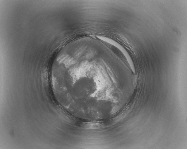 X0000115210366200911181533
