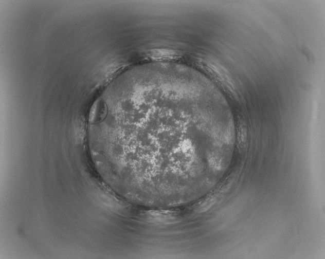 X0000115210367200911181533