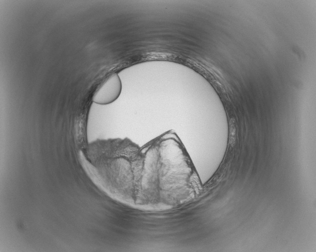 X0000115210369200911181533