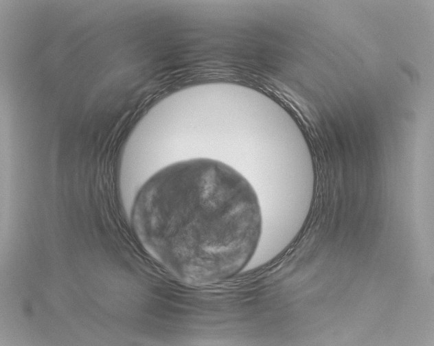 X0000115210373200911181533